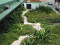 eThekwini Municipality Green Roof