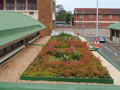 eThekwini Municipality Green Roof