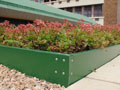 eThekwini Municipality Green Roof