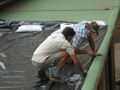 eThekwini Municipality Green Roof