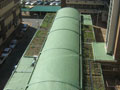 eThekwini Municipality Green Roof