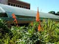 eThekwini Municipality Green Roof