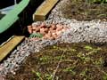 Setting up green roof layers